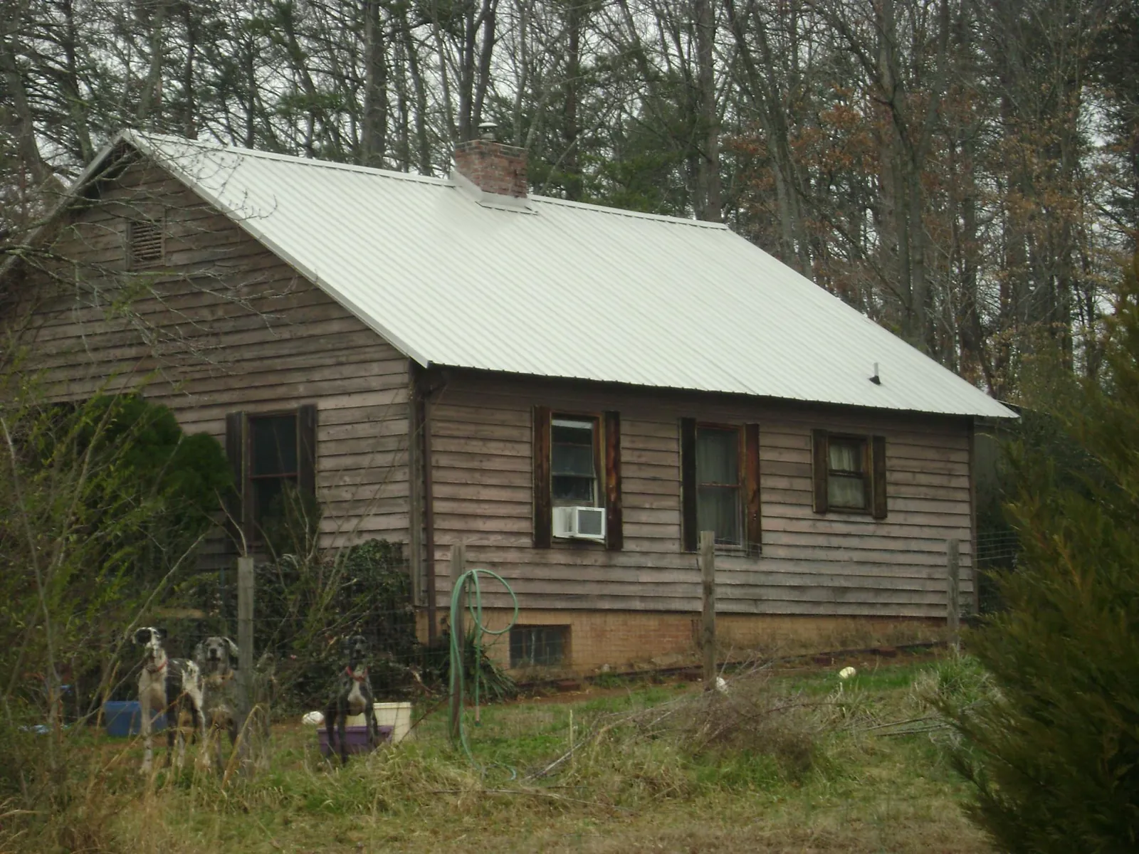 White metal roof on an old wood sided farmhouse, from a Asphalt Shingle Roof Repair job in Millington